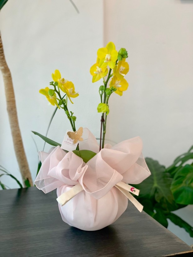 礼品包布 送礼包装 韩国进口单层砖石纱831号H-P10866,包装,纱布袋,淘宝优惠券,粉丝福利购,淘宝优惠卷