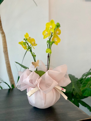 礼品包布送礼包装韩国