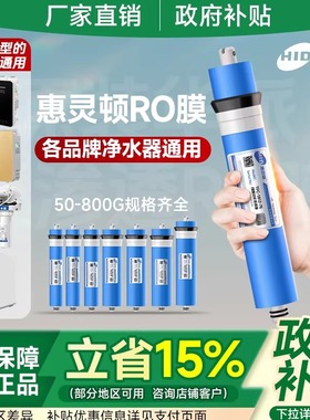 RO膜反渗透家用净水器hid惠灵顿滤芯75G400G商用纯水机净水机通用