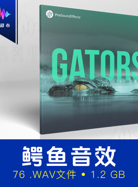 沼泽两栖动物鳄鱼嘶嘶声咆哮咬合音效 Pro Sound Effects Gators