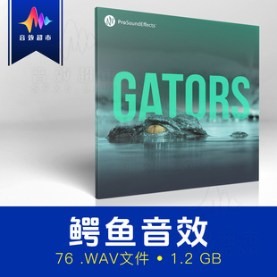沼泽两栖动物鳄鱼嘶嘶声咆哮咬合音效 Pro Sound Effects Gators