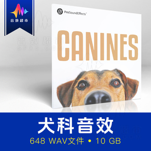 10种犬类犬科奔跑喝水进食狗叫声音效 Pro Sound Effects Canines