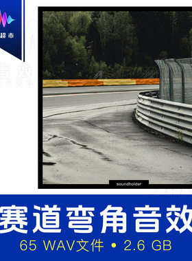 汽车赛道弯角赛车攻弯弯心音效 Soundholder Race Track Corner