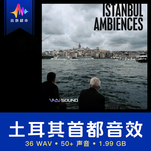 土耳其/伊斯坦布尔城市环境音效 Vadi Sound - Istanbul Ambience
