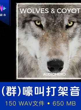 狼(群)郊狼叫声威胁呲牙狼嚎音效 Audio Hero Wolves & Coyotes