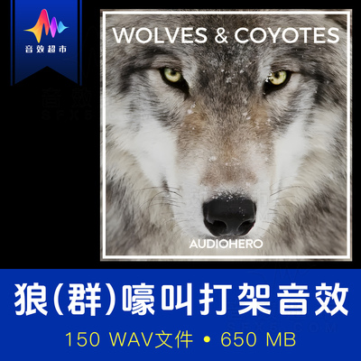 狼(群)郊狼叫声威胁呲牙狼嚎音效 Audio Hero Wolves & Coyotes