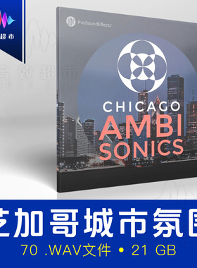 美国芝加哥城市氛围音效 Pro Sound Effects Chicago Ambisonics