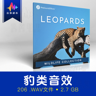 豹类豹子/黑豹/猎豹/花豹叫声音效 Pro Sound Effects Leopards