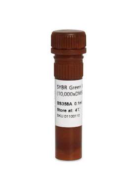 Biosharp 核酸染料SYBR Green I/II in DMSO (10000X) 含票价