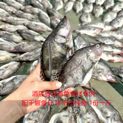 阳干鳜鱼仔湖南湖北桂花鱼梭子鱼500g新鲜活杀半成品酒店食材