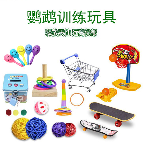 鹦鹉训练玩具鸟用玩具