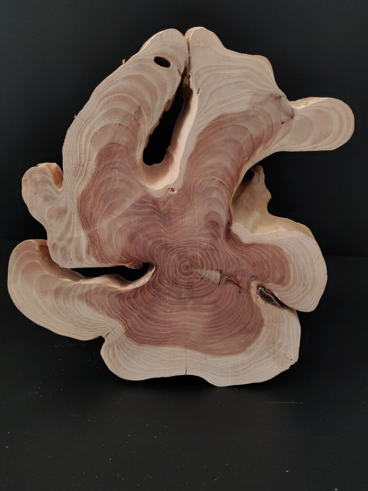 [618 SOLID WOOD TEXTURE] WOOD ORNAMENTS UNIQUE TEXTURES INGENIOUS DECORATIONS HOME GIFTS