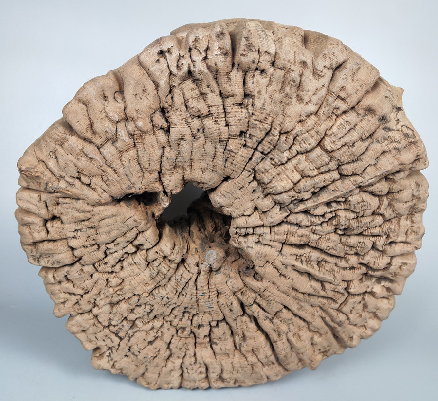 天然实木雕风化木树瘤疙瘩 民间老物件 烂木头创意摆件居家装饰