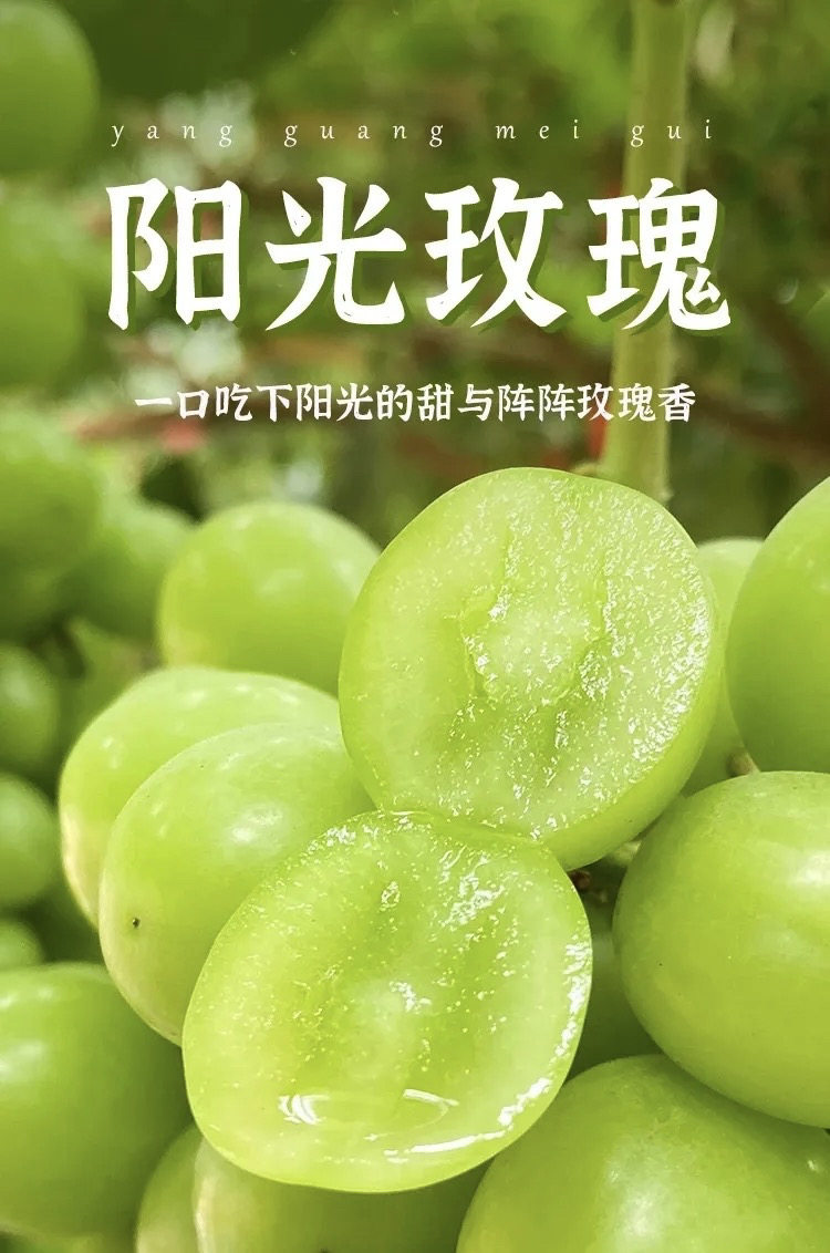 阳光玫瑰葡萄树苗盆栽地栽南北方种植当年结果四季可种植可占地,鲜花速递/花卉仿真/绿植园艺,果树,淘宝优惠券,粉丝福利购,淘宝优惠卷