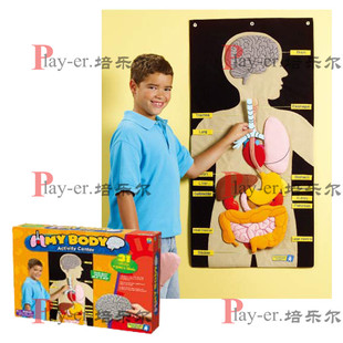 人体器官挂袋儿童科学探索实验室人体结构图医学科普教具