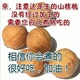 杭州临安坚果农家小山核桃生籽原生态干籽 新货野生 500g散装 袋装