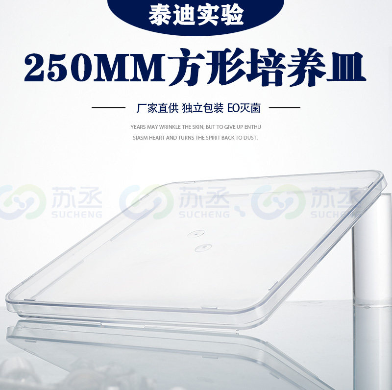 250MM正方形培养皿一次性透明塑料实验室无菌细胞细菌平皿超大号