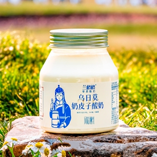 兰格格草原酸奶乌日莫奶皮子560g大桶装低温酸牛奶顺丰包邮