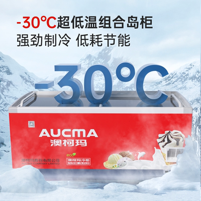 澳柯玛602/702L商用冷冻展示冰柜