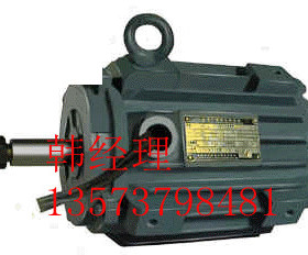 YXE234-225M-2 45KW千瓦通用立卧式三相异步电动机马达全铜老国标