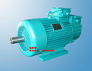 2.2KW单轴 起重电机冶金三相异步电动机三相电动机电动机J2