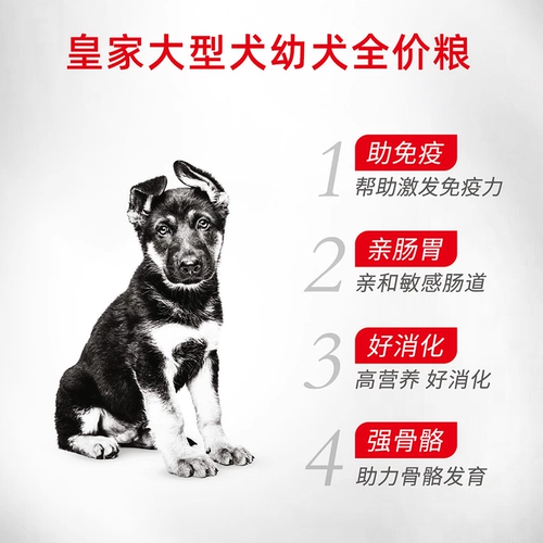 Poch Pet Dog Французский королевский французский корм для собак 15 кг крупная собака с золотой собакой Mao Main Maj30