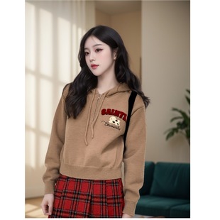 爱丸丸卡农斑点狗刺绣拉链连帽毛衣女春秋小个子宽松短款针织上衣