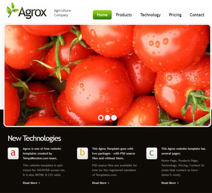 0712 蔬菜水果类企业网站模板HTML源码