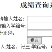 0855学生成绩查询系统ASP源码只需修改EXCEL即可无需其他操作