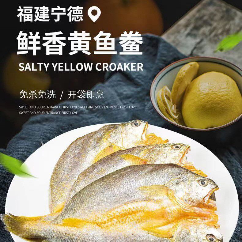 福建宁德霞浦特产大黄鱼3条5条鲜活冷冻水产黄瓜鱼三去黄鱼鲞冻鱼