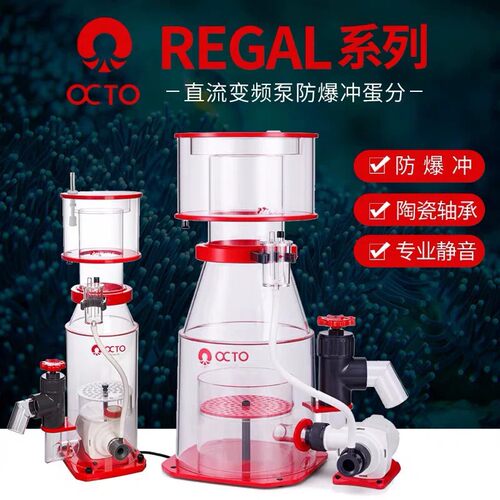 八爪鱼Regal蛋分 海水缸蛋分防爆冲变频珊瑚缸外置泵蛋白质分离器