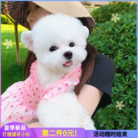 Корейский домашний питомец Тедди щенок Bomebi Corcho Dog Dog Cat Spring и осенняя одежда Летняя маленькая собака Пара тонкая