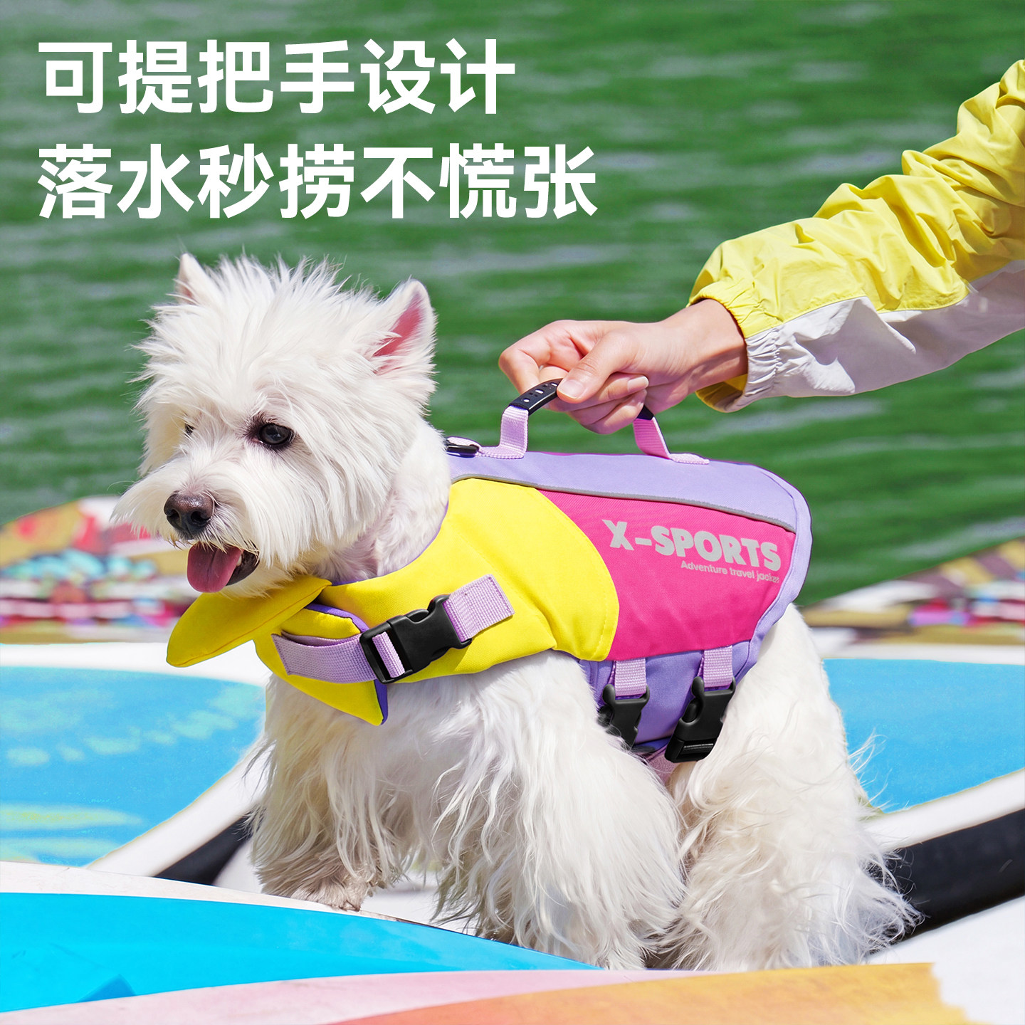 宠物狗狗救生衣泳衣小中大型犬专用夏天小狗比熊泰迪可牵引衣服图片