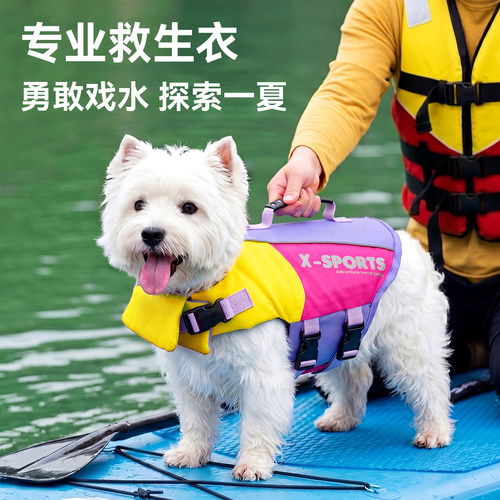 狗狗救生衣宠物衣服泳衣夏天