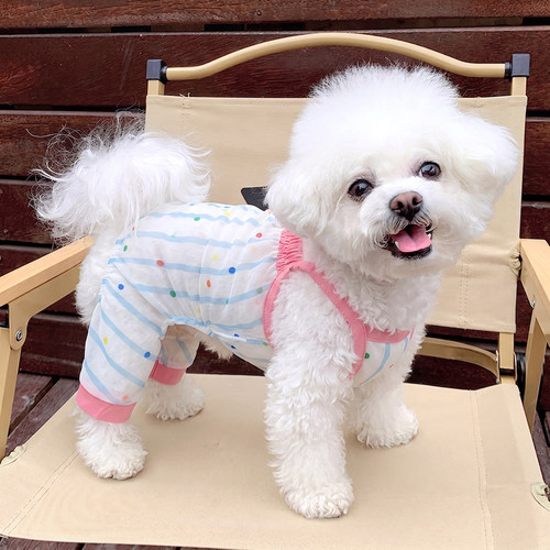 宠物狗狗衣服雪纺透气小狗四脚泰迪约克夏比熊衣服夏季薄款凉凉衣