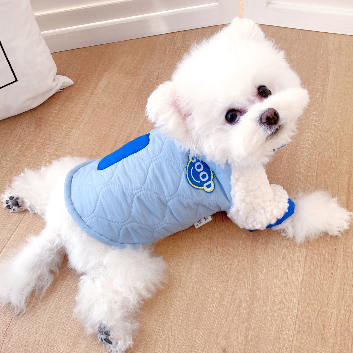 【狗狗秋冬加厚保暖两腿棉衣】