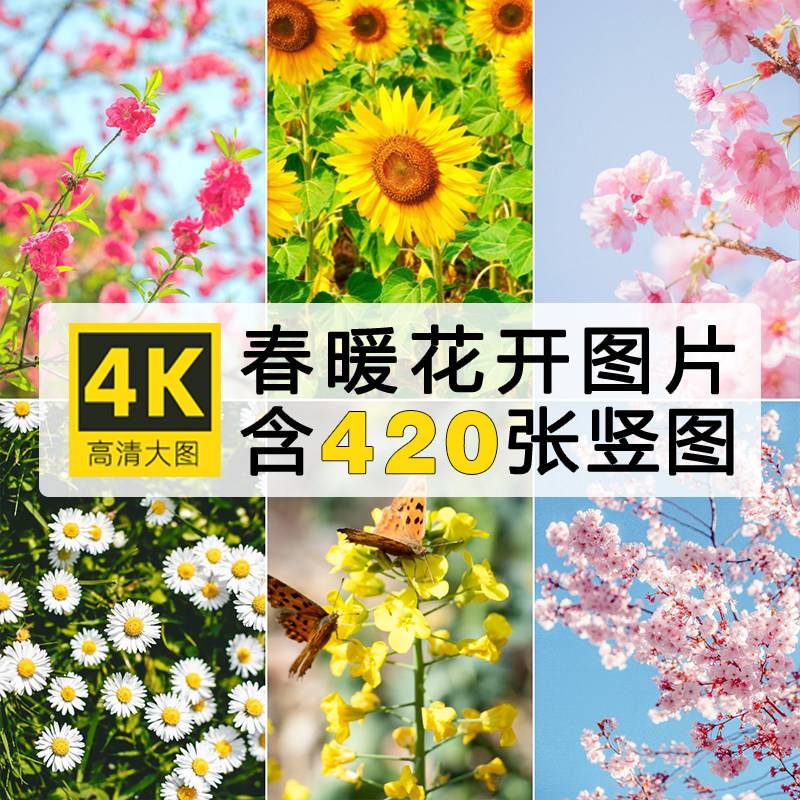 高清4K竖图片春天花朵春暖花开摄影ps设计2K手机壁纸素材自动发货