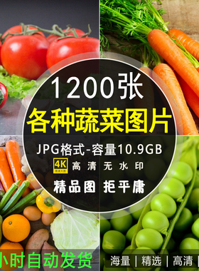 4K高清蔬菜背景图片绿色果蔬青菜大全生鲜超市美团外卖海报ps素材
