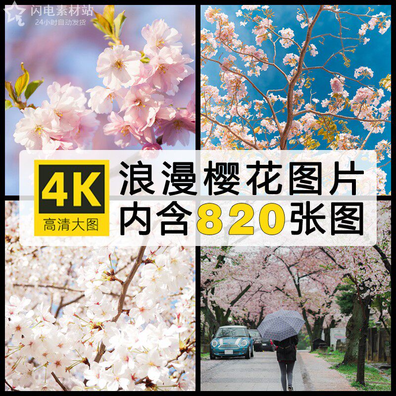 日系浪漫樱花树桃花朵春暖花开春天抖音自媒体高清竖版横图片素材