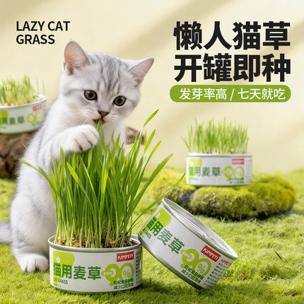 猫草零食罐头懒人轻松种植水培猫草盆栽猫咪可食趣味亲子互动