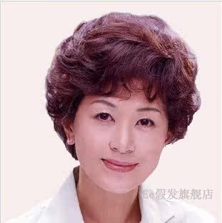 Perruque OTHER   cheveux courts - Ref 2610304 Image 1