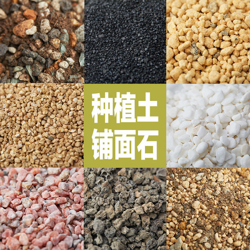 【云南仓】美诺花园赤玉鹿沼多肉