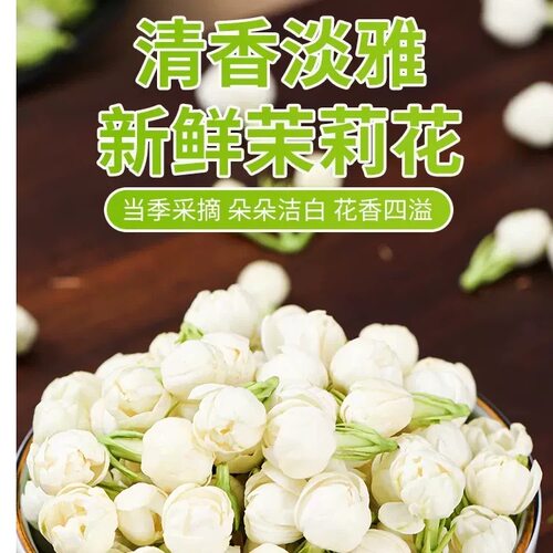 横州茉莉花鲜花手串手环原材广西横州现摘现发