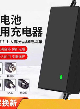 电动车锂电池充电器24V48V2A36V3A60V72V5A8A滑板哈雷平衡车通用