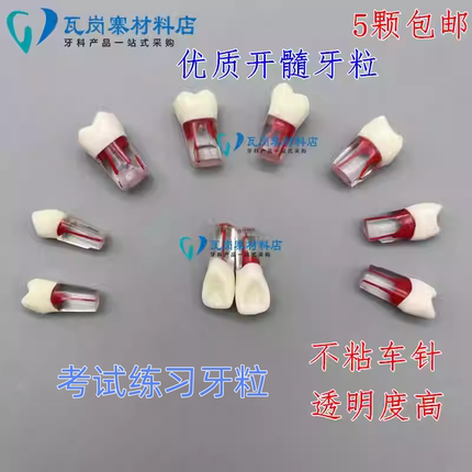 牙医学生考试练习开髓牙粒 树脂牙带髓腔根管牙 预备填充窝洞制备