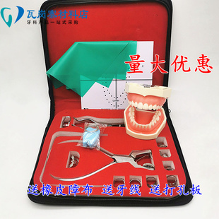 牙科材料 橡皮樟备牙模型 口腔橡皮章工具套装 橡皮障打孔器 包邮