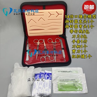 牙科缝合练习模型 医学生用品缝针仿真口腔模块 训练工具器械包