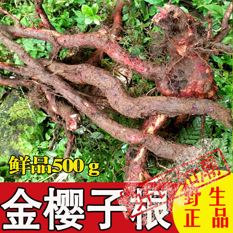2024正宗深山金樱子根500g包邮 中药材脱骨丹金英根自采自销直销