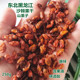 东北野生沙棘果干果沙棘子颗粒原味野果醋柳果酸刺果泡水250g含油