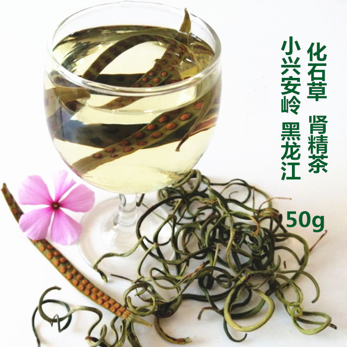 东北化石草肾精茶养生茶肾经草茶50g黑龙江石韦茶肾精草野生新货